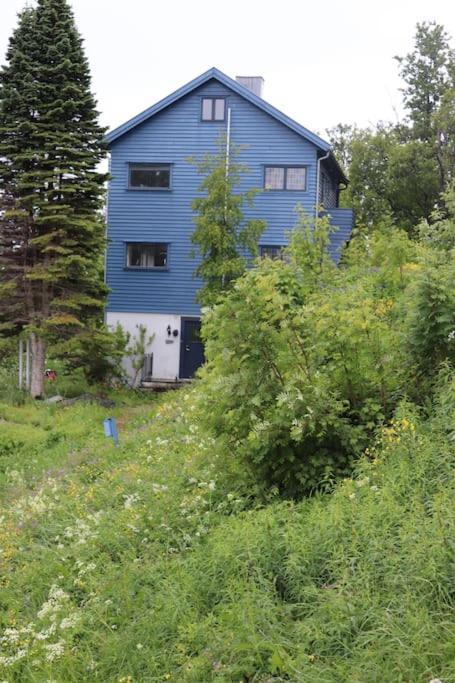 Villa Cozy Family House Tromsø Esterno foto